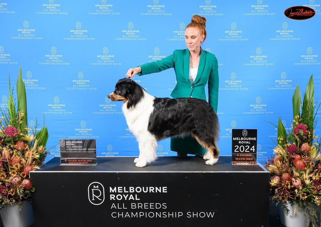 Brooke - Owner and Professional Dog Groomer