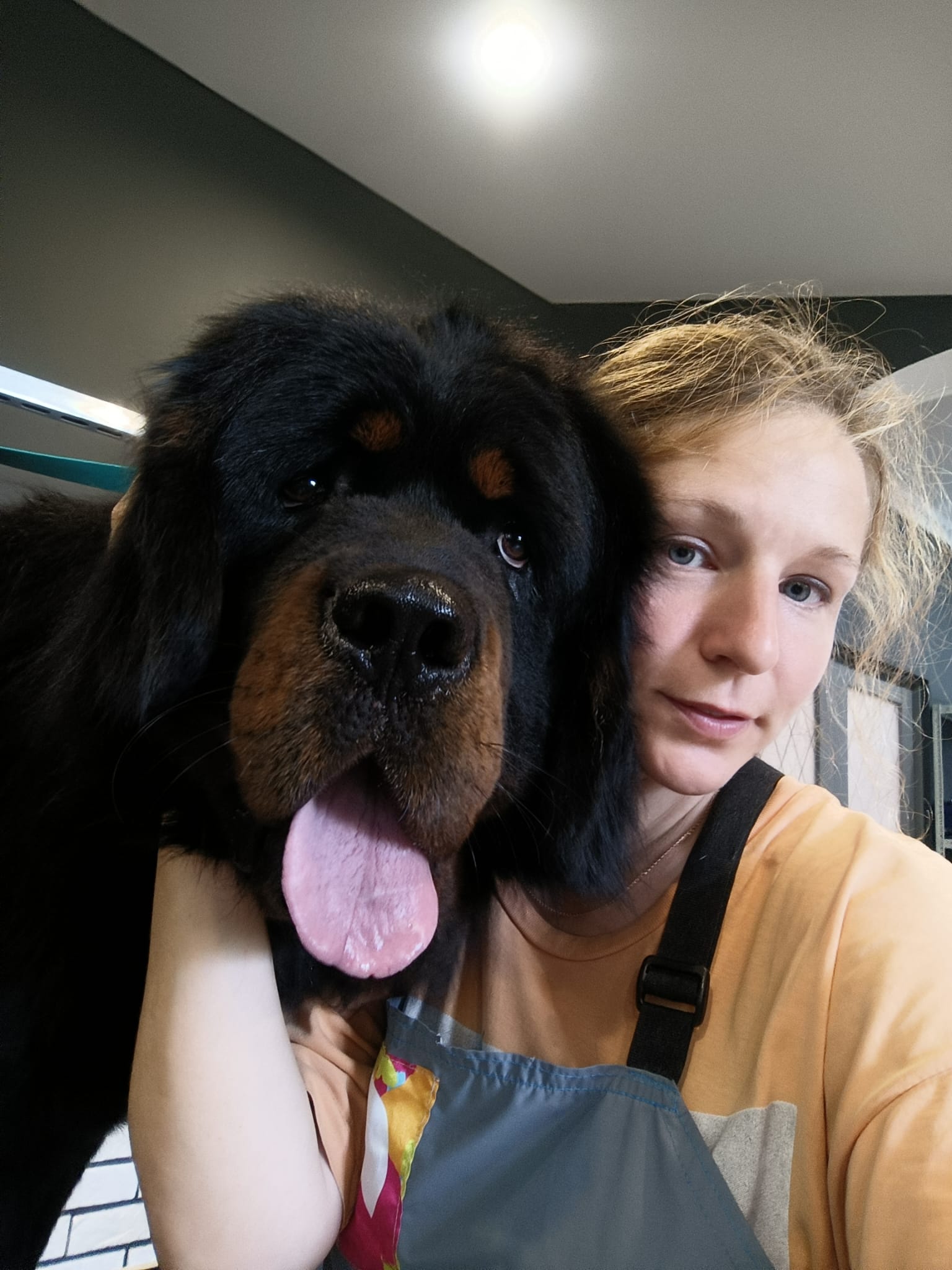 Natasha - Professional Dog Groomer