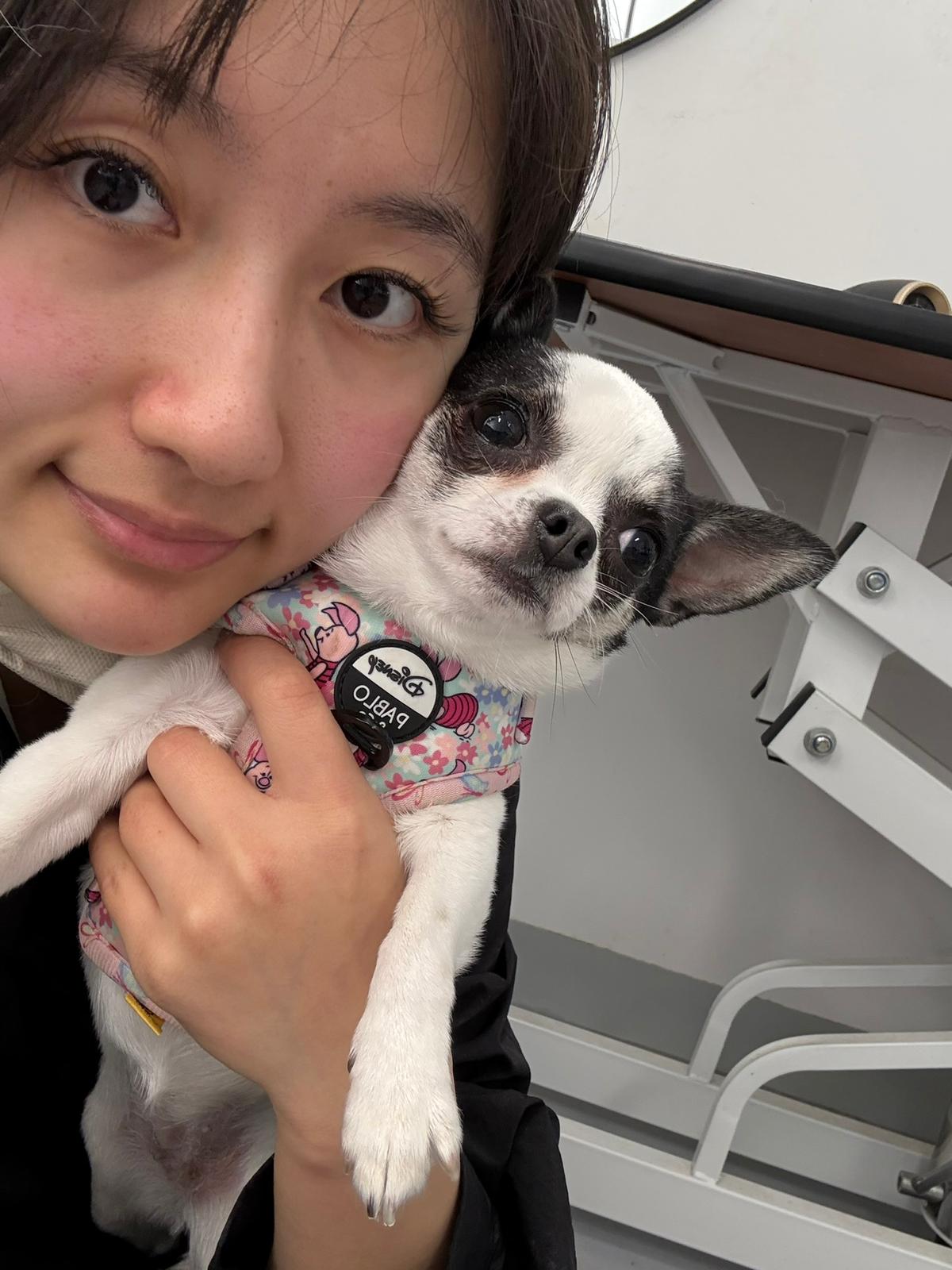 Samantha - Professional Dog Groomer