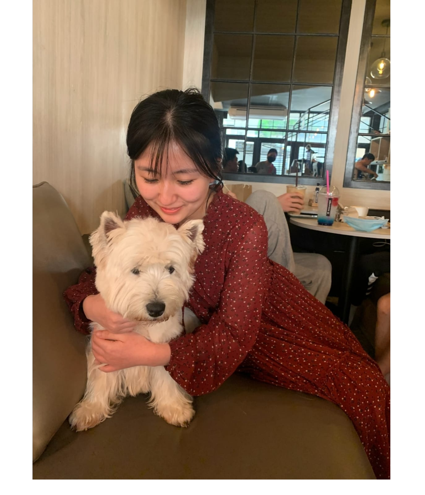 Sam - Qualified Groomer and Pet Sitter